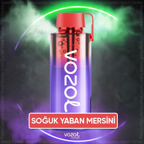 En Ucuz Fiyatla Blue Razz Ice Vozol Neon 10K Senin Olsun